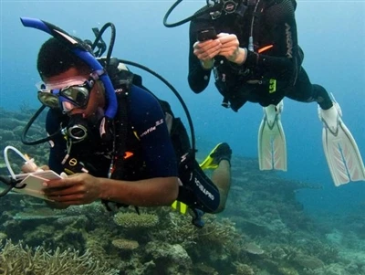 Apakah kalis air 100m dan kalis air 200m?